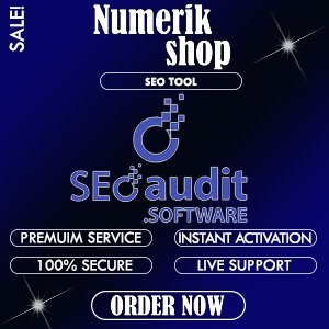 WebsiteAudit