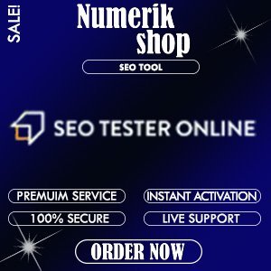 seotesteronline