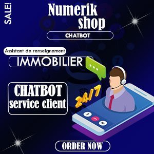 Chatbot pour Agence Immobilière