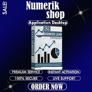 Business Lead Extractor